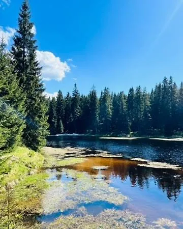 アパート Bedrich