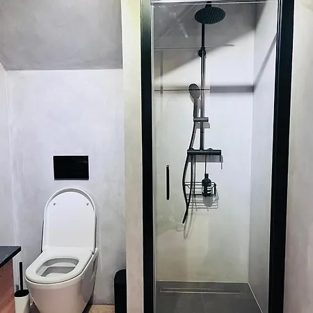 Bedrich Daire Janov nad Nisou