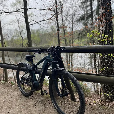 Bedrich ヤノフ・ナト・ニソウ