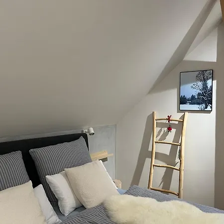 Bedrich Apartamento Janov nad Nisou