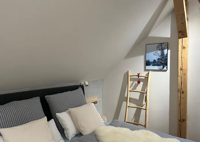 Bedrich Apartment Janov nad Nisou